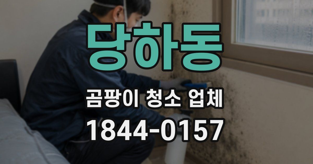 당하동 곰팡이 청소 업체