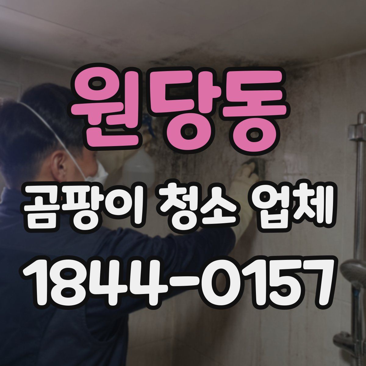 원당동 곰팡이 청소 업체