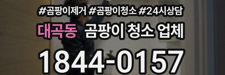 대곡동 곰팡이 청소 업체