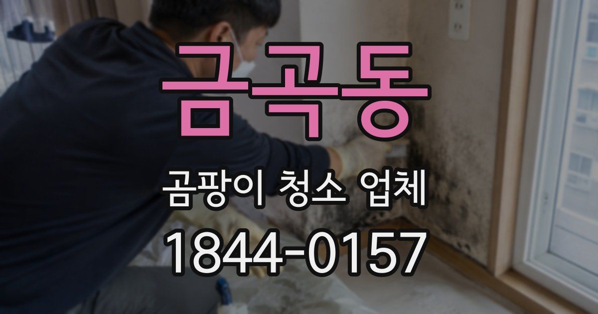 금곡동 곰팡이 청소 업체