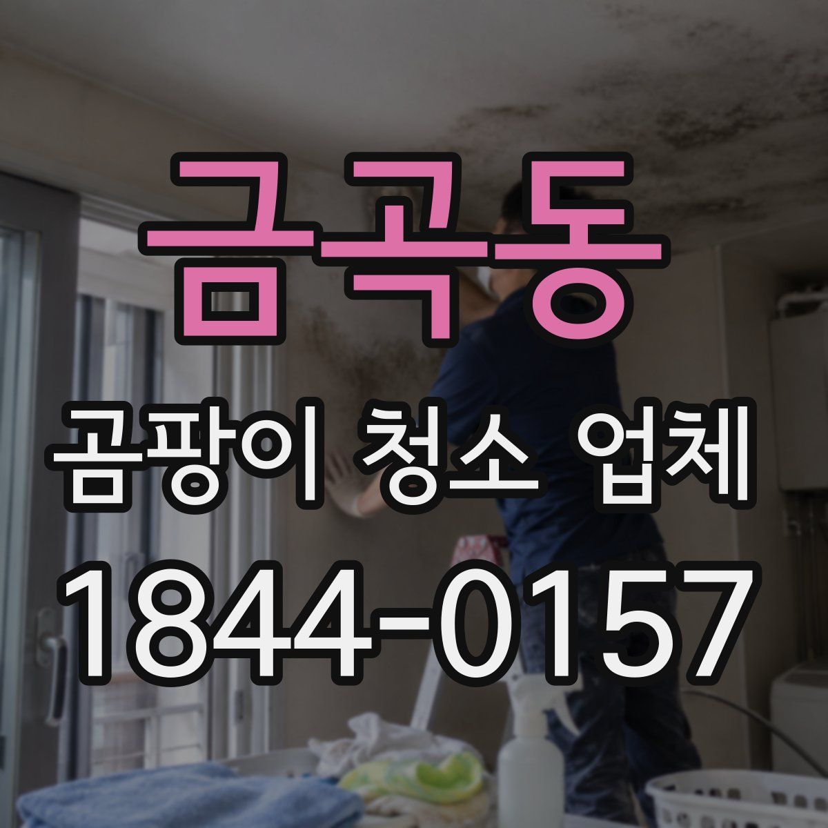 금곡동 곰팡이 청소 업체