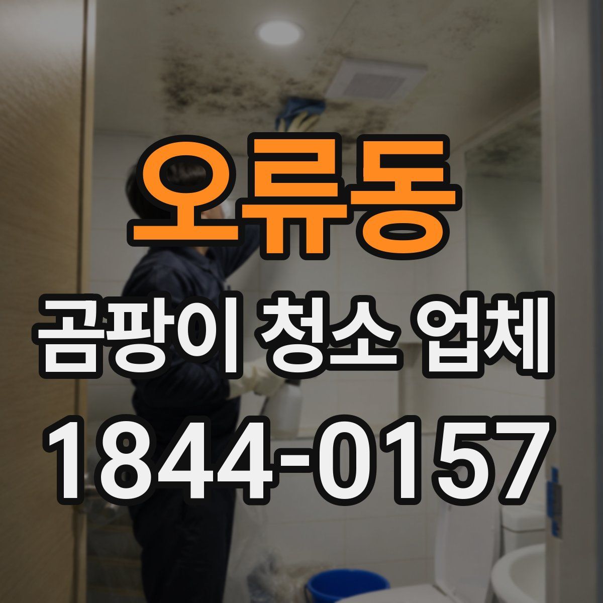 오류동 곰팡이 청소 업체