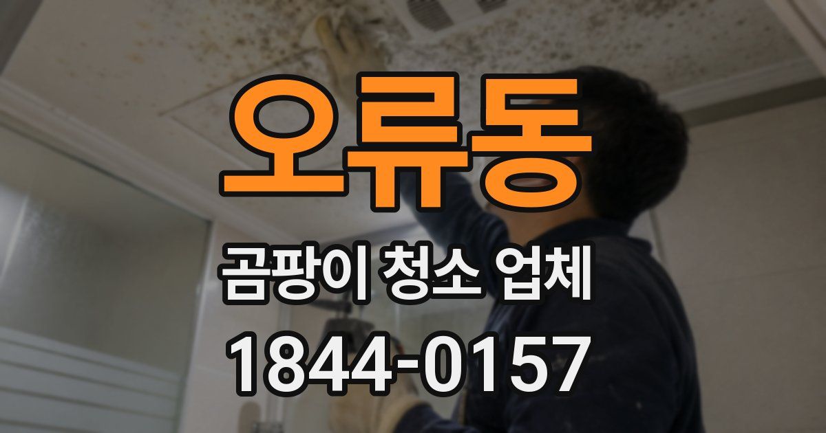 오류동 곰팡이 청소 업체