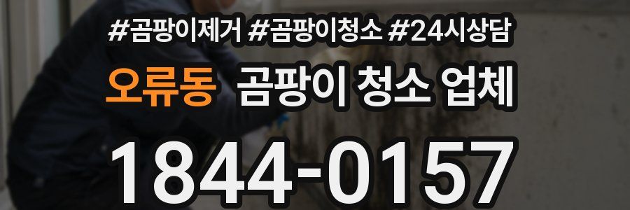 오류동 곰팡이 청소 업체