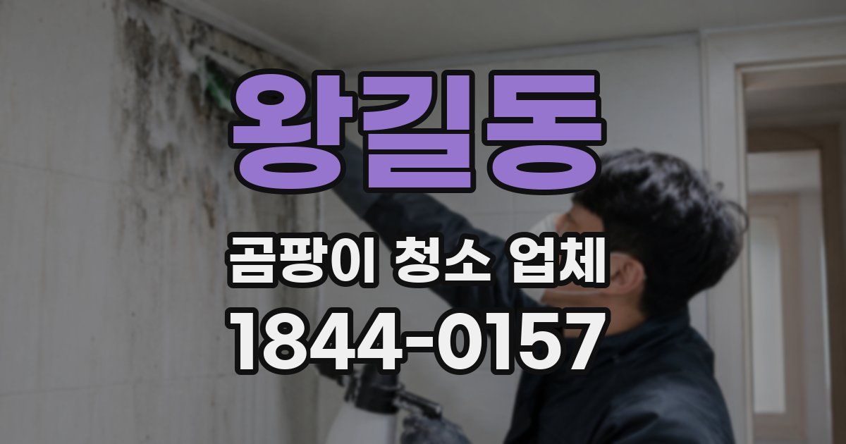 왕길동 곰팡이 청소 업체