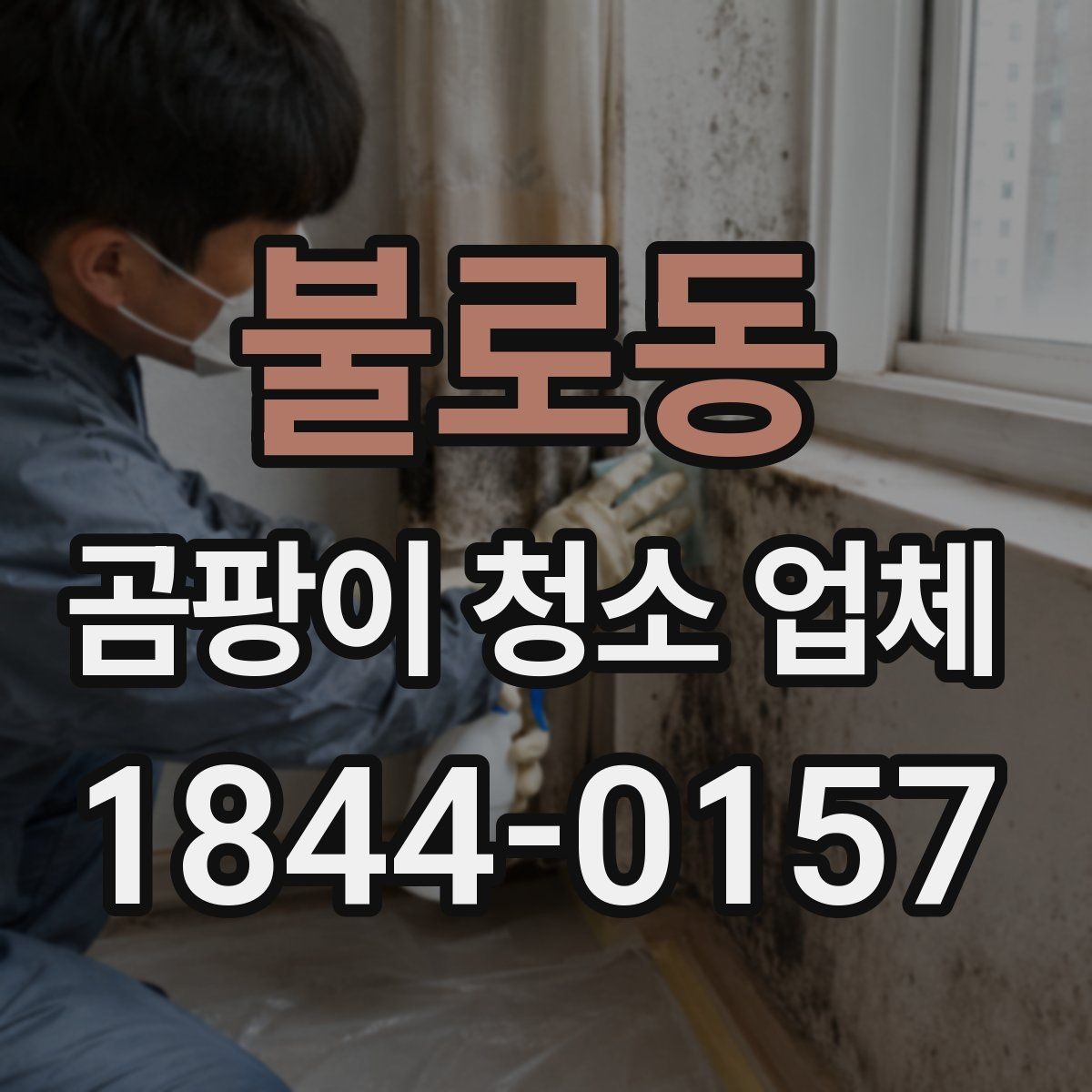 불로동 곰팡이 청소 업체 벽지와 실리콘의 차이 제거 방식이 다른 이유