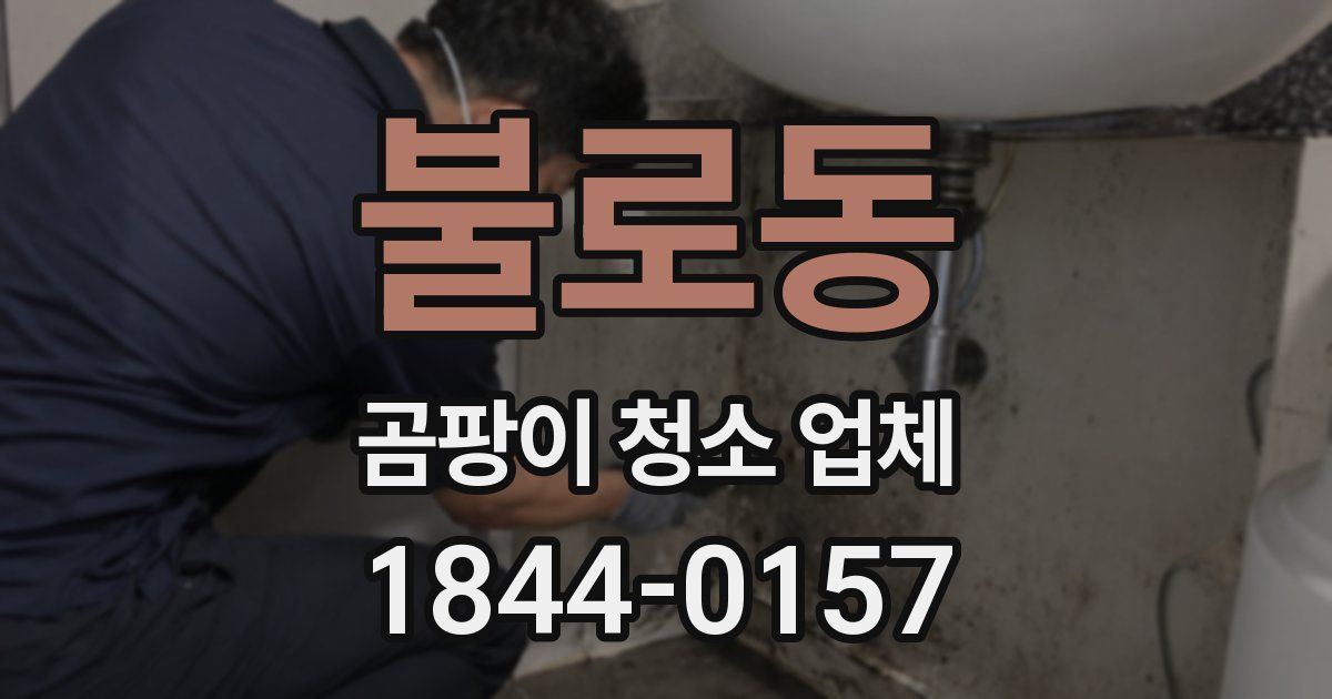 불로동 곰팡이 청소 업체