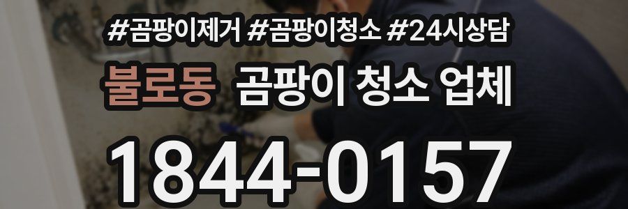 불로동 곰팡이 청소 업체