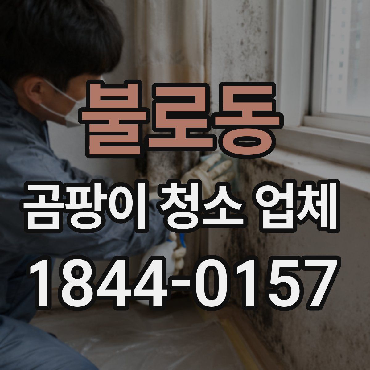 불로동 곰팡이 청소 업체