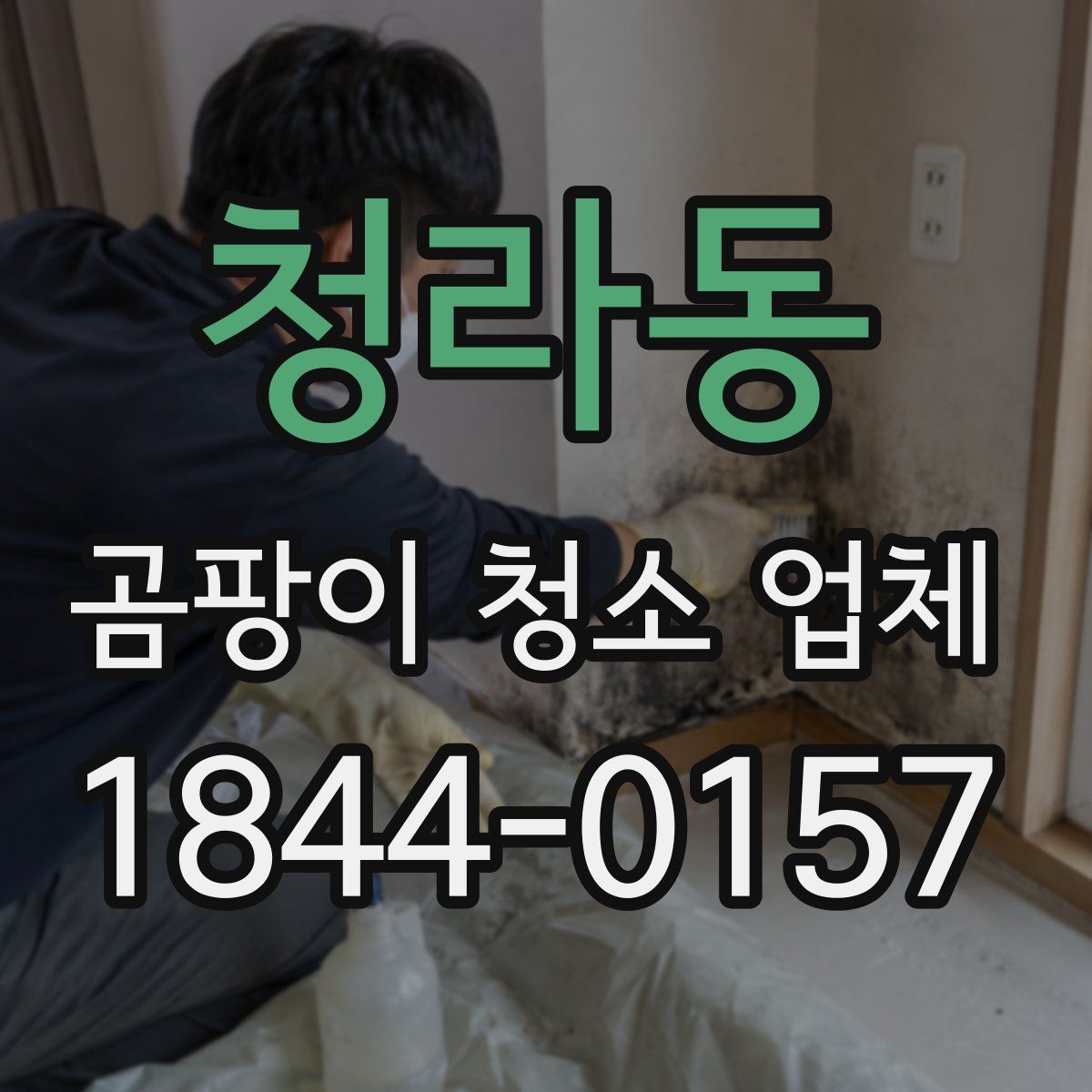 청라동 곰팡이 청소 업체