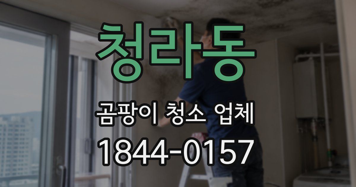 청라동 곰팡이 청소 업체