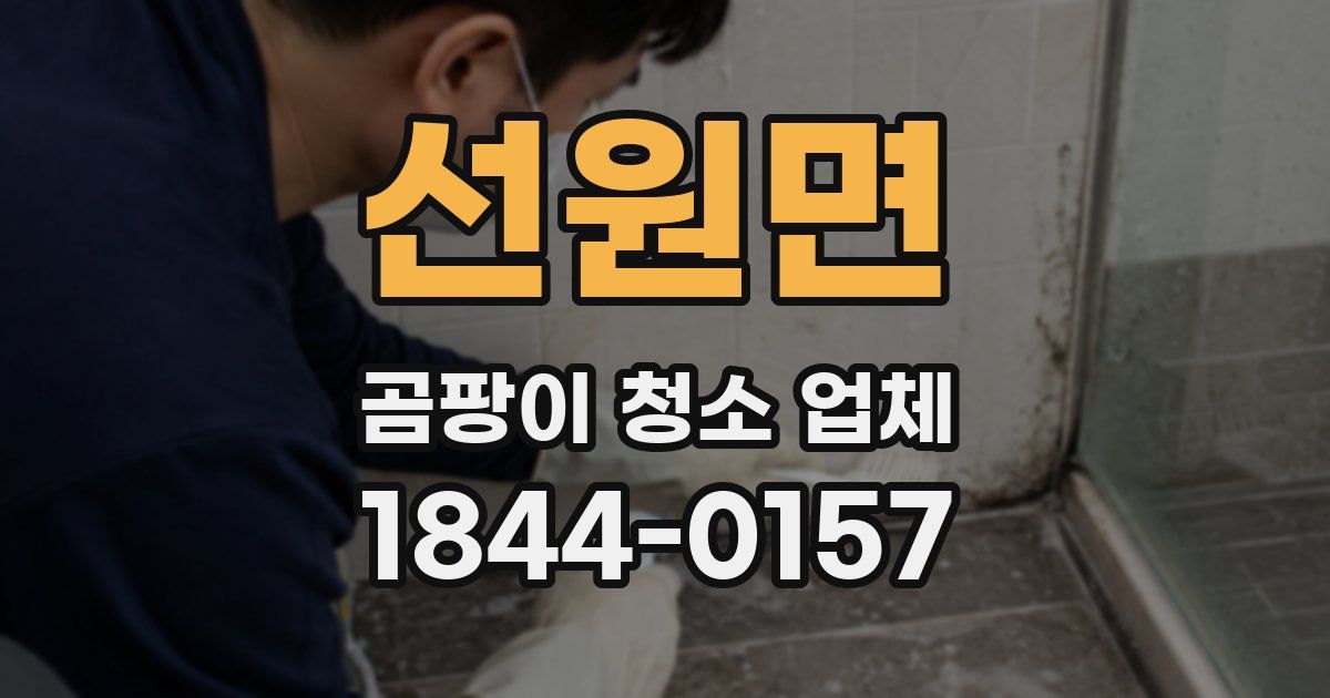선원면 곰팡이 청소 업체