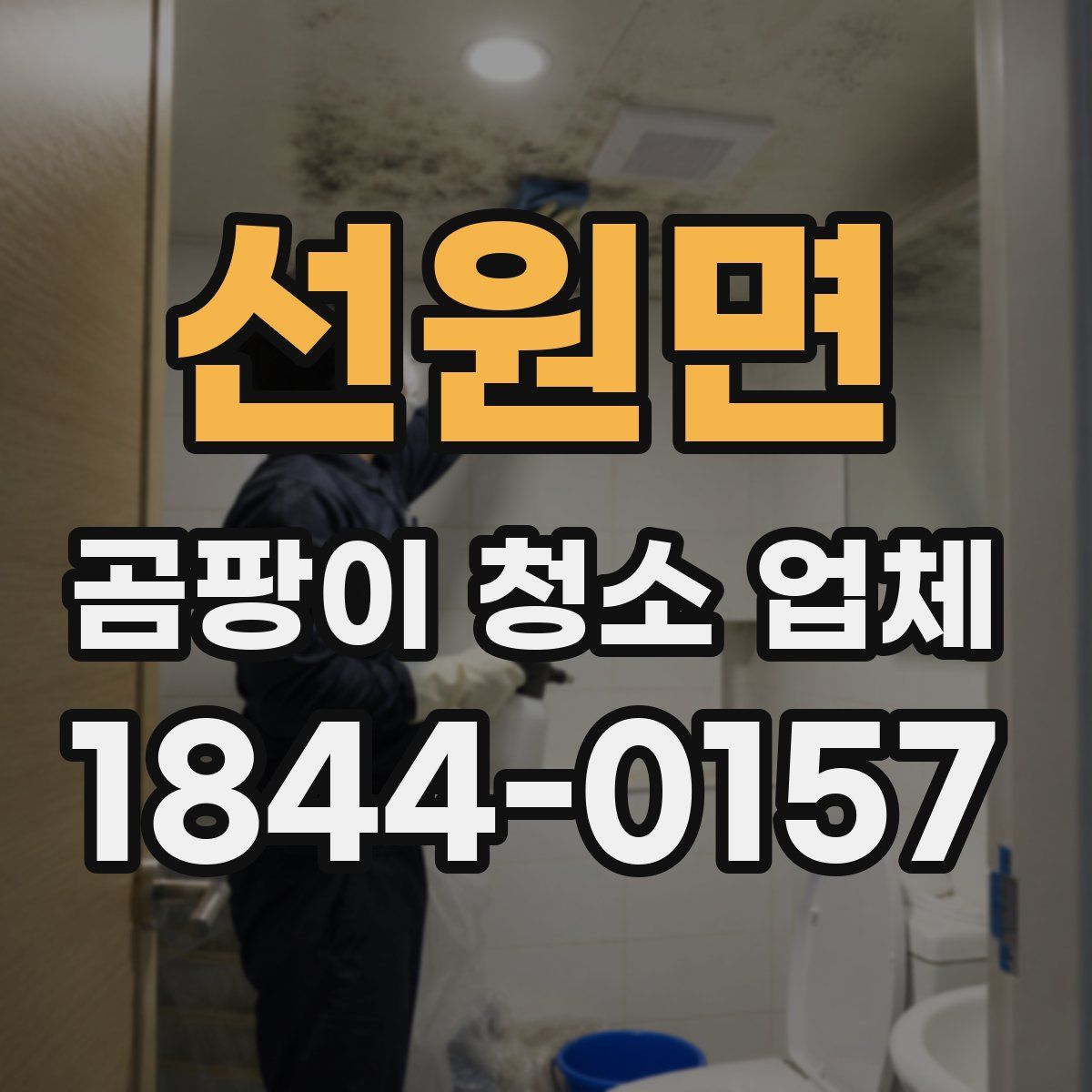 선원면 곰팡이 청소 업체
