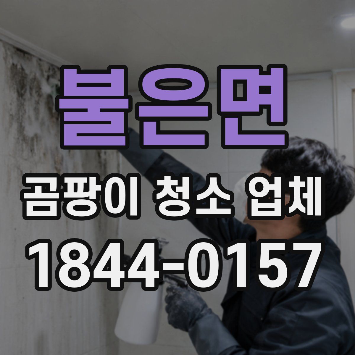 불은면 곰팡이 청소 업체