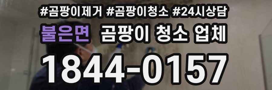 불은면 곰팡이 청소 업체