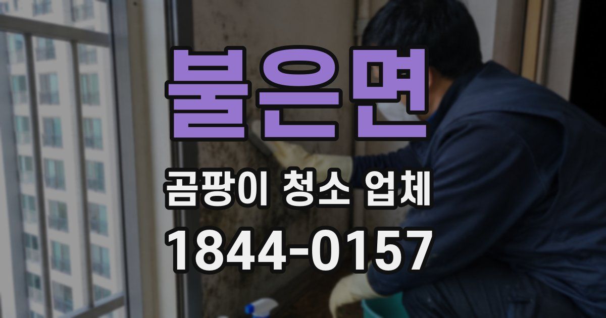 불은면 곰팡이 청소 업체