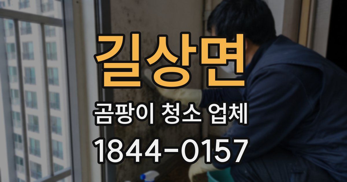 길상면 곰팡이 청소 업체