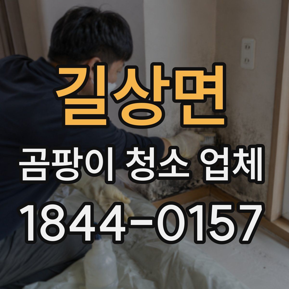 길상면 곰팡이 청소 업체