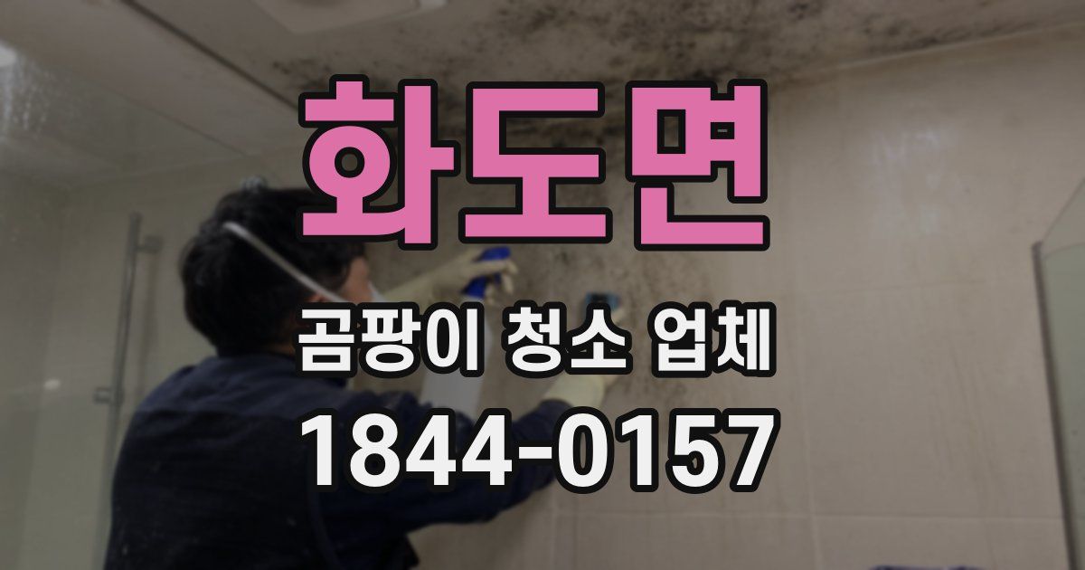 화도면 곰팡이 청소 업체