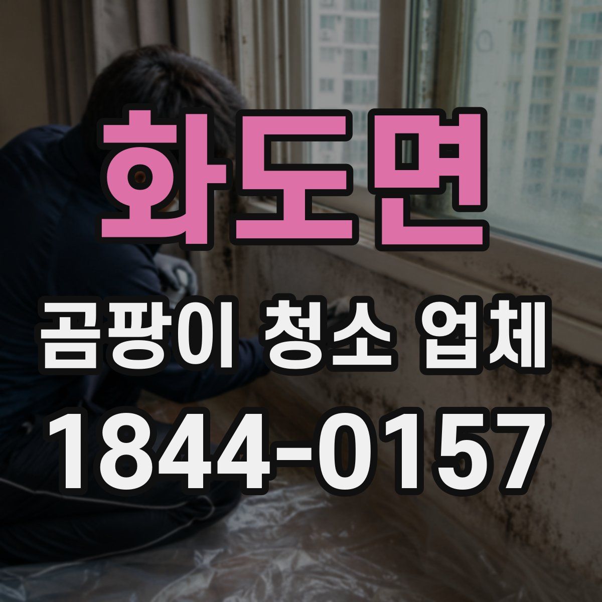 화도면 곰팡이 청소 업체