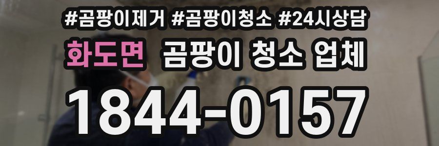 화도면 곰팡이 청소 업체