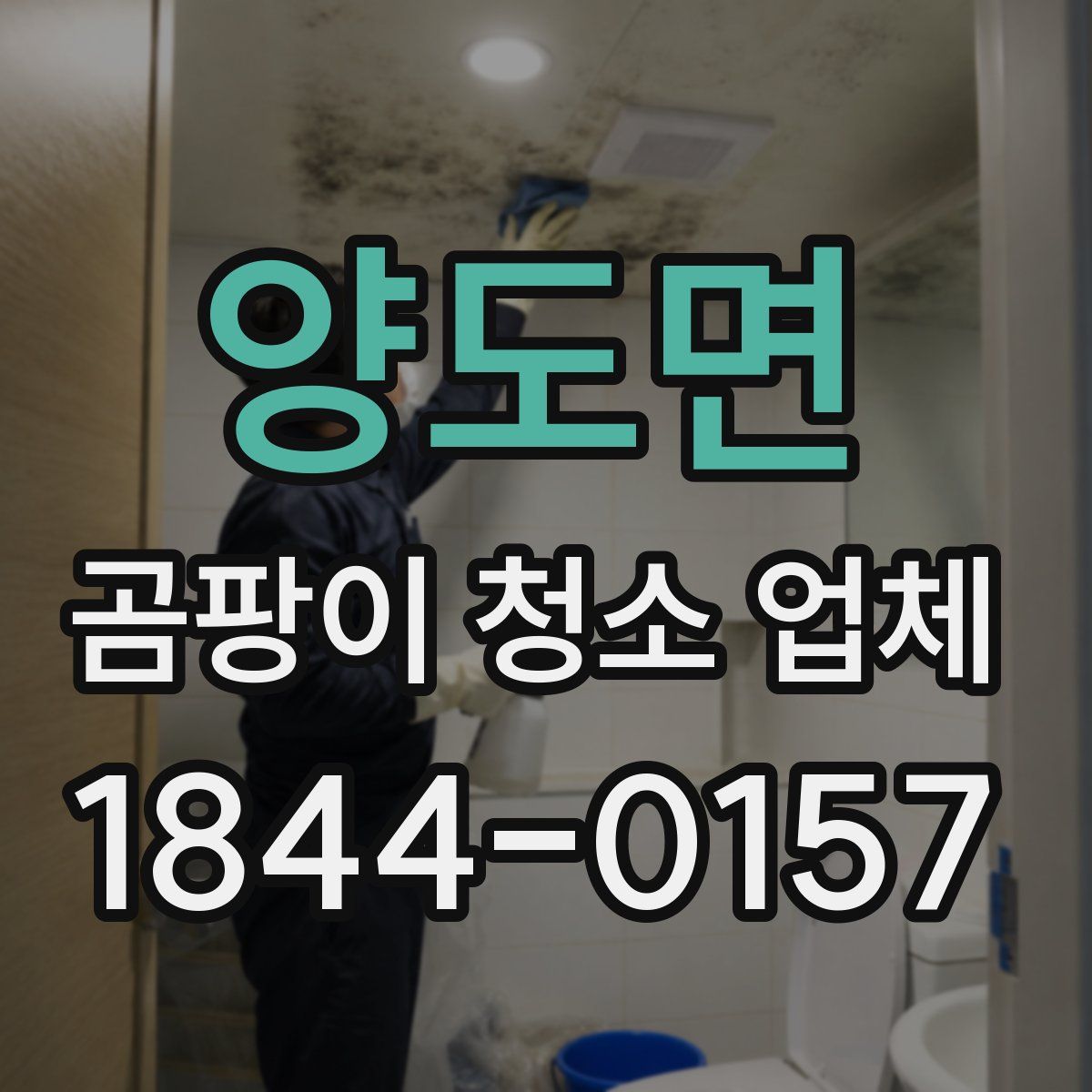 양도면 곰팡이 청소 업체