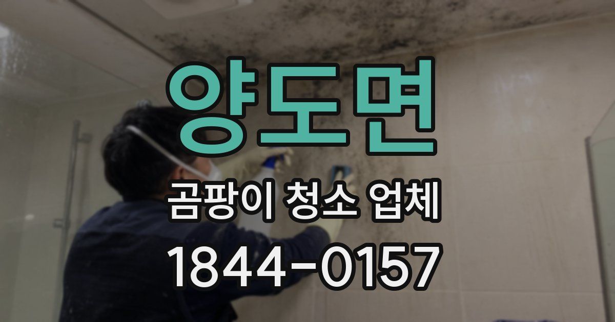 양도면 곰팡이 청소 업체
