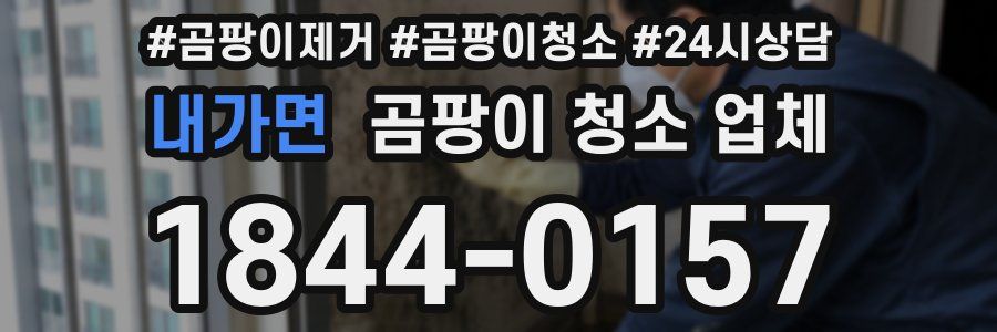내가면 곰팡이 청소 업체