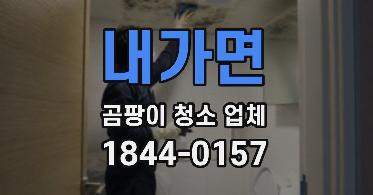 내가면 곰팡이 청소 업체