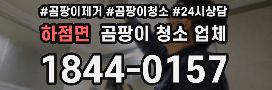 하점면 곰팡이 청소 업체