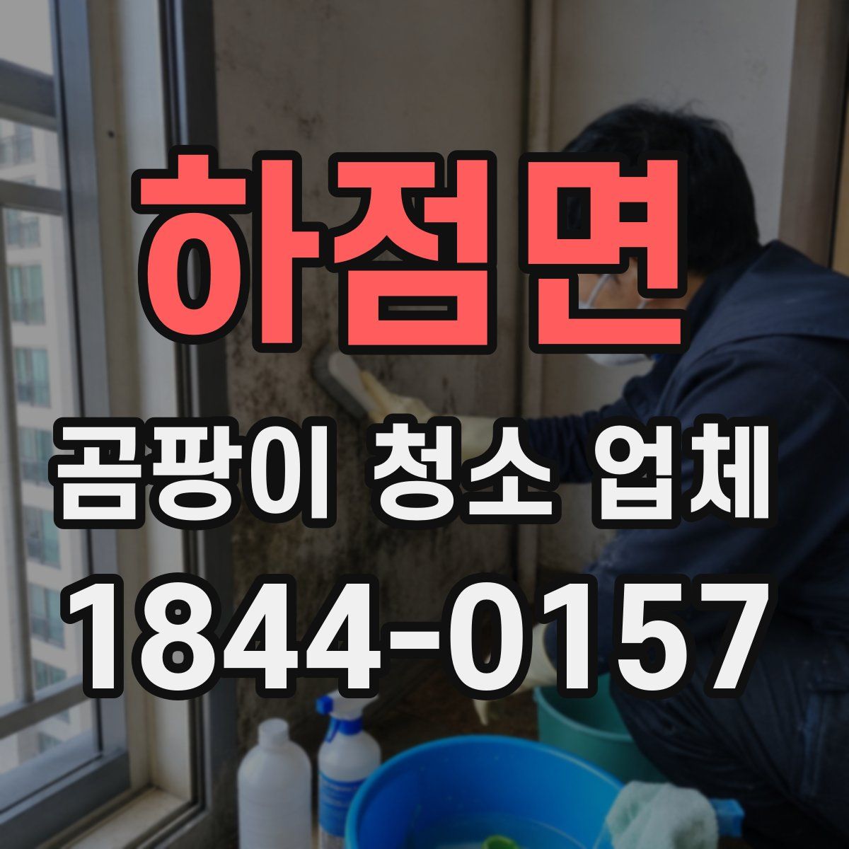 하점면 곰팡이 청소 업체