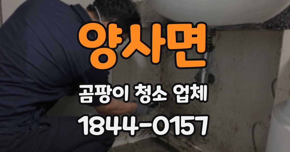 양사면 곰팡이 청소 업체