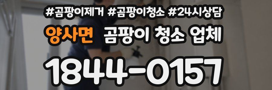 양사면 곰팡이 청소 업체