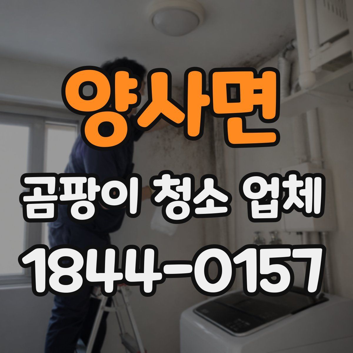 양사면 곰팡이 청소 업체