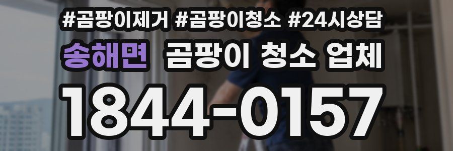 송해면 곰팡이 청소 업체