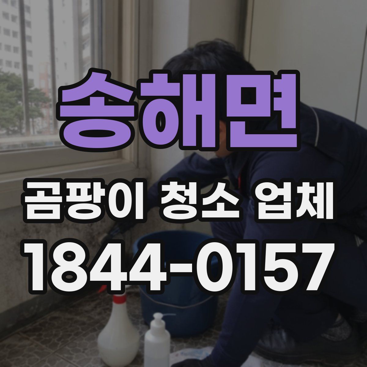 송해면 곰팡이 청소 업체
