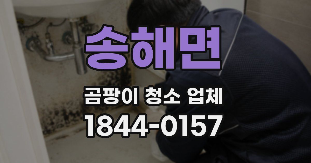 송해면 곰팡이 청소 업체