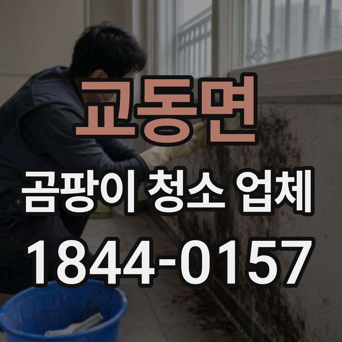교동면 곰팡이 청소 업체 현장 진단으로 작업 범위를 정하는 법