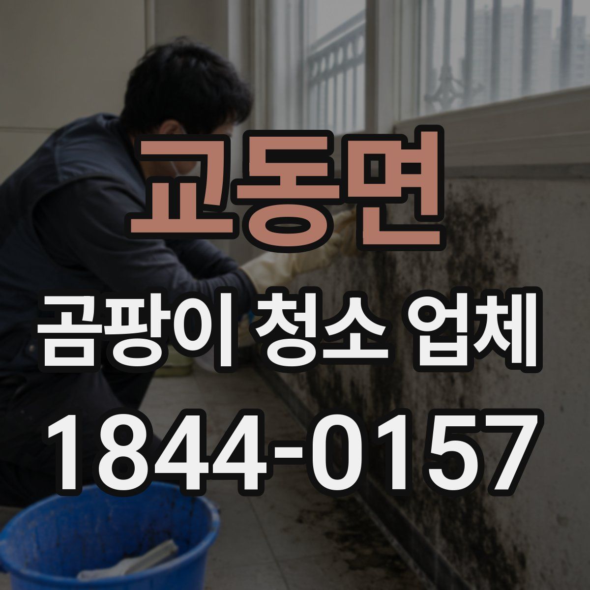 교동면 곰팡이 청소 업체