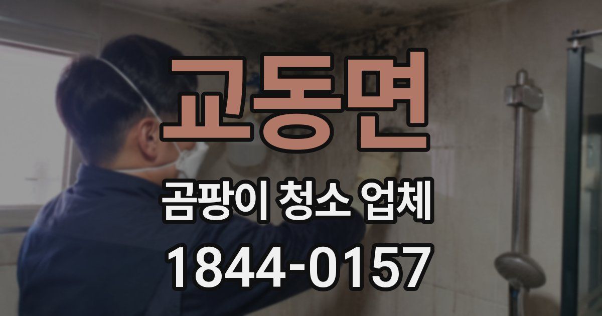 교동면 곰팡이 청소 업체