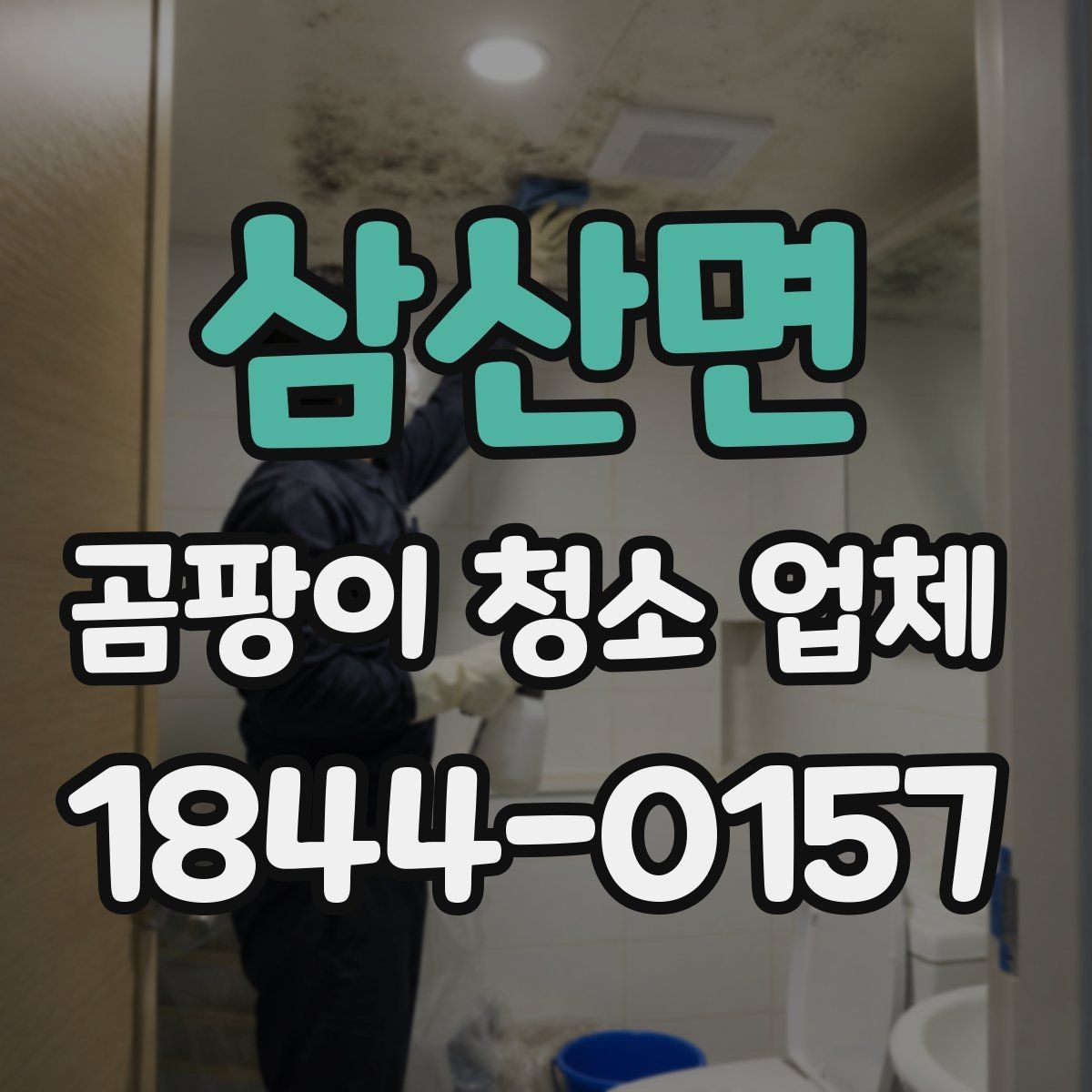 삼산면 곰팡이 청소 업체 곰팡이 재발 줄이려면 환기부터 점검해야 하는 이유