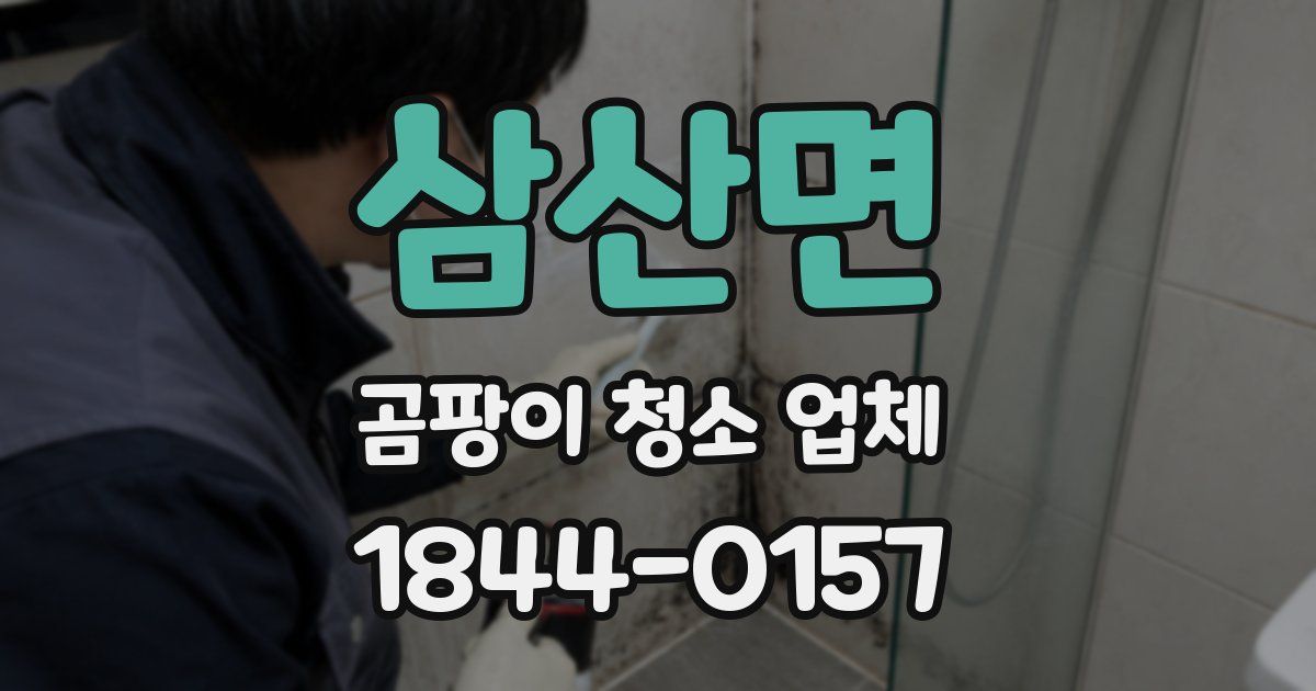 삼산면 곰팡이 청소 업체
