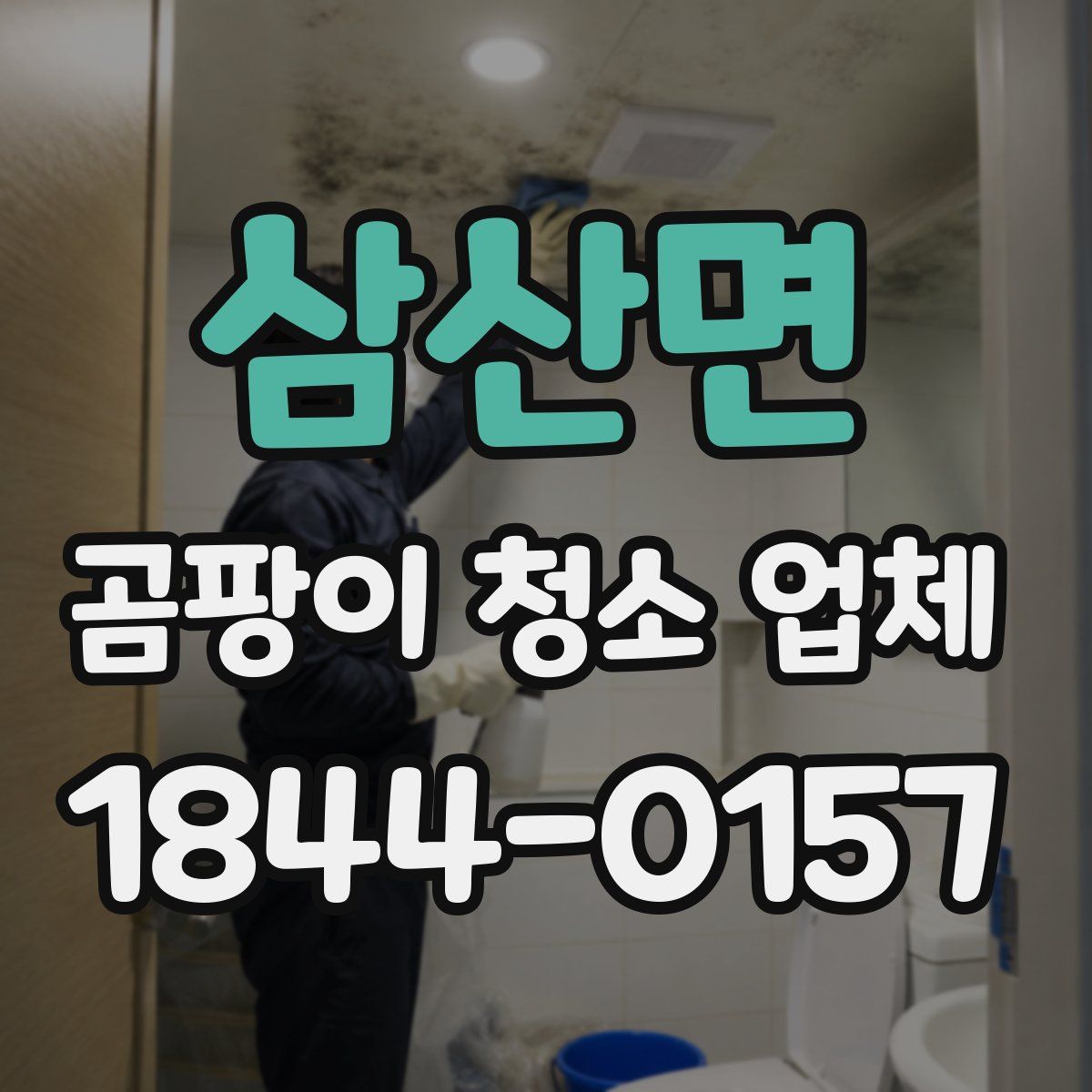 삼산면 곰팡이 청소 업체