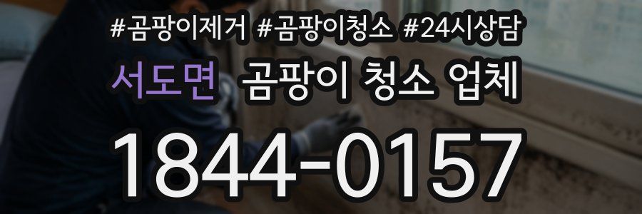서도면 곰팡이 청소 업체