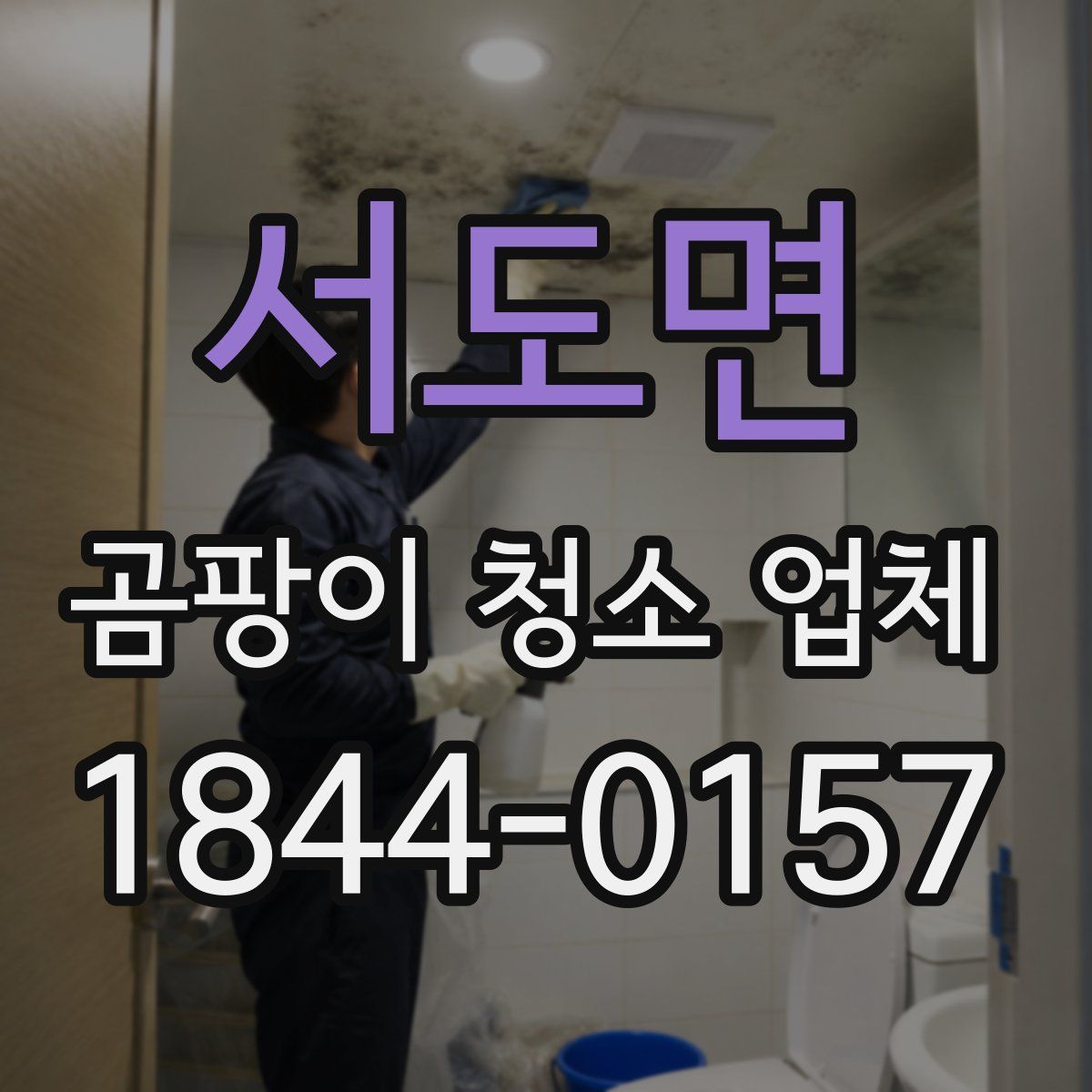 서도면 곰팡이 청소 업체