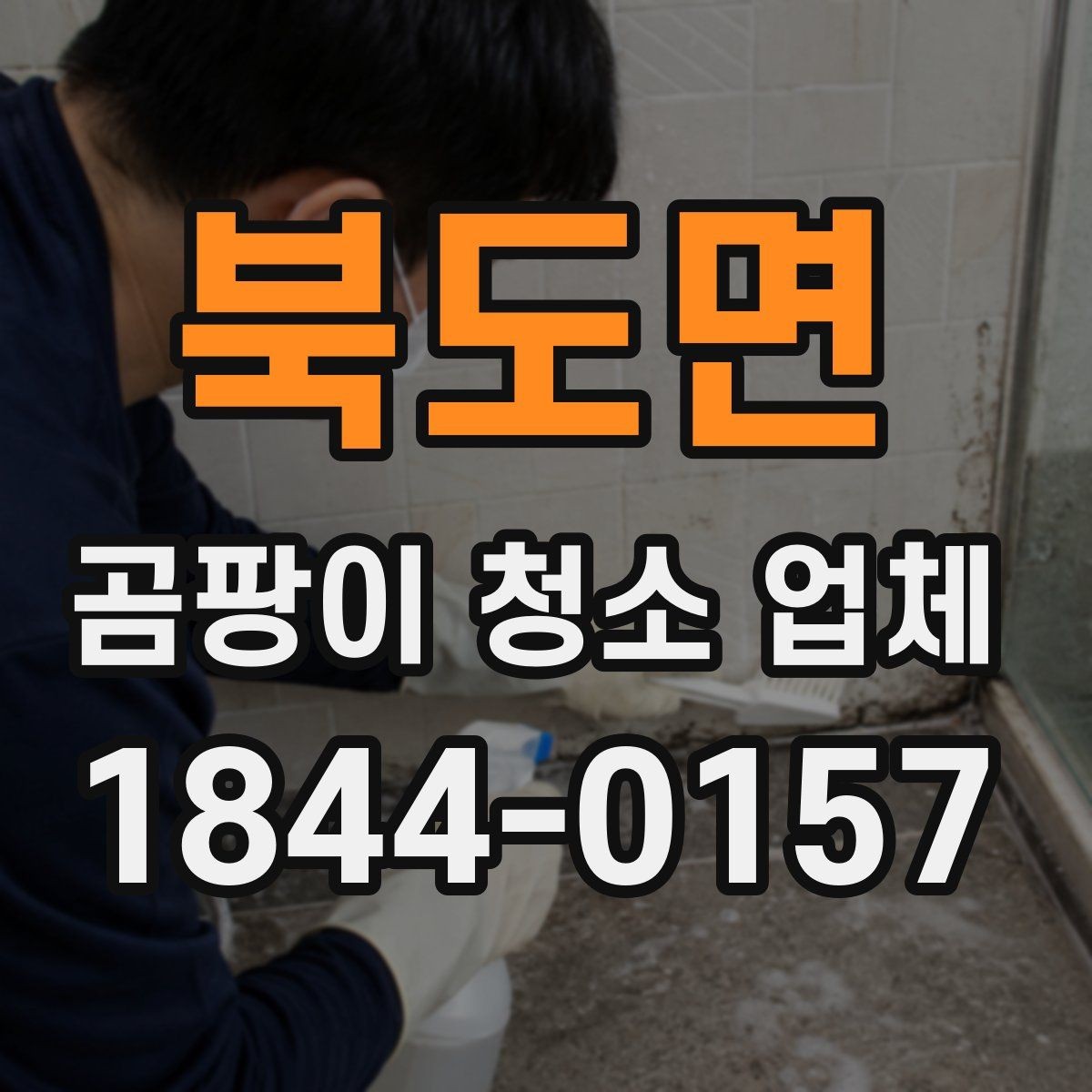 북도면 곰팡이 청소 업체 아기와 반려동물이 있는 집의 안전 기준