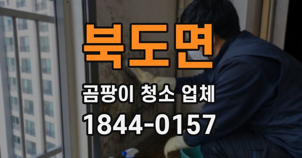 북도면 곰팡이 청소 업체