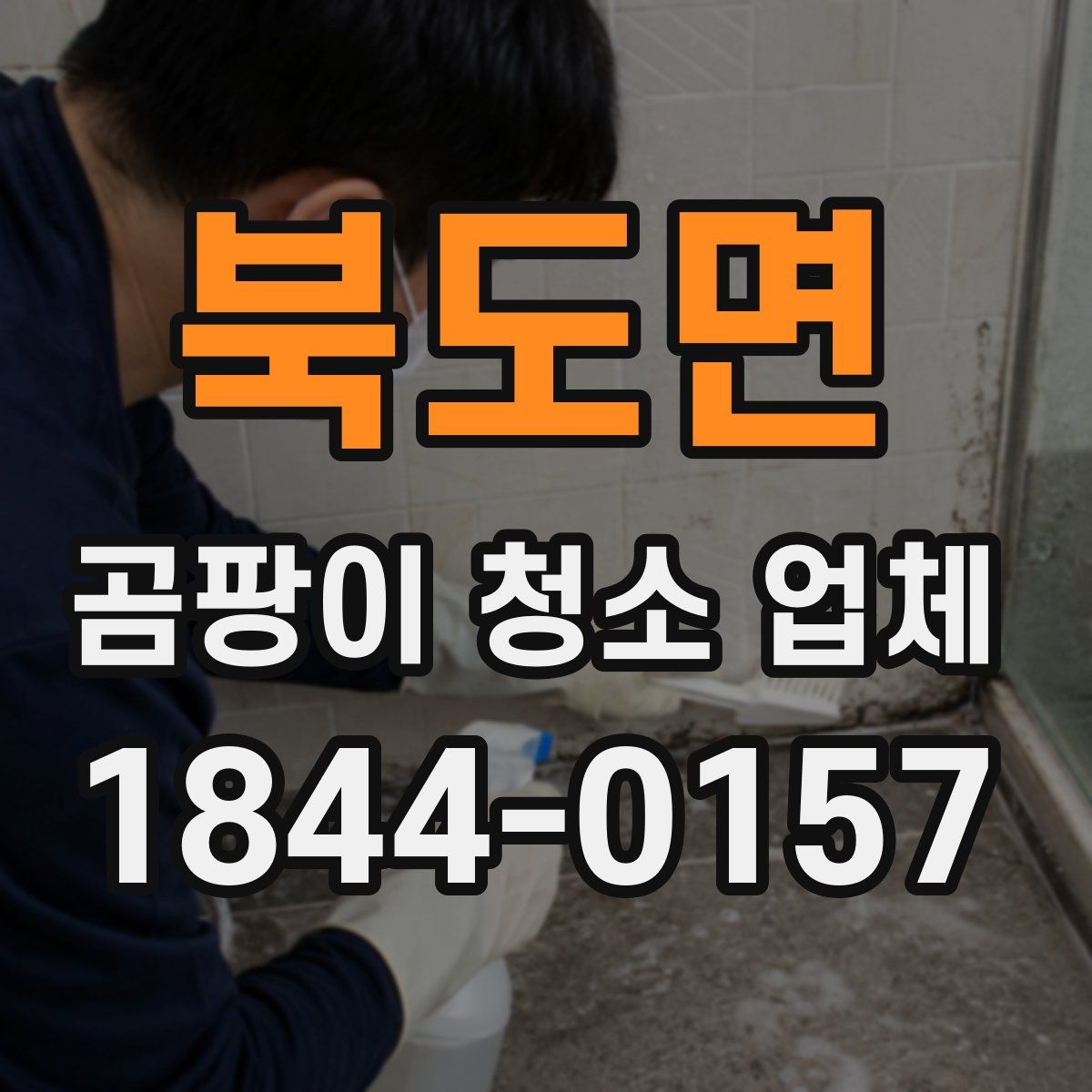 북도면 곰팡이 청소 업체