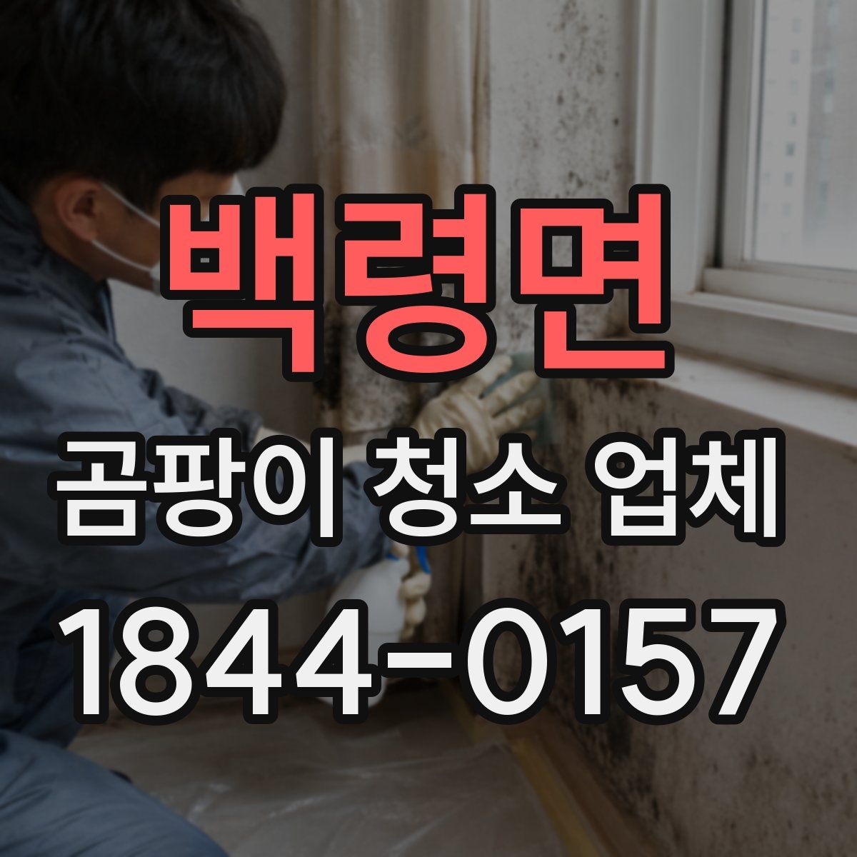 백령면 곰팡이 청소 업체