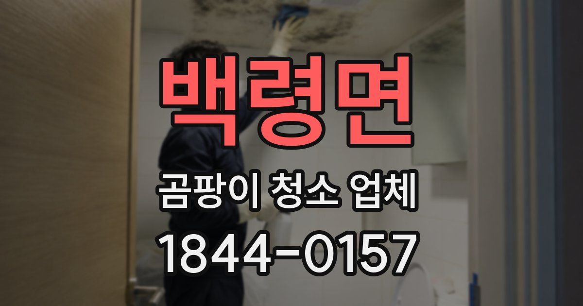 백령면 곰팡이 청소 업체